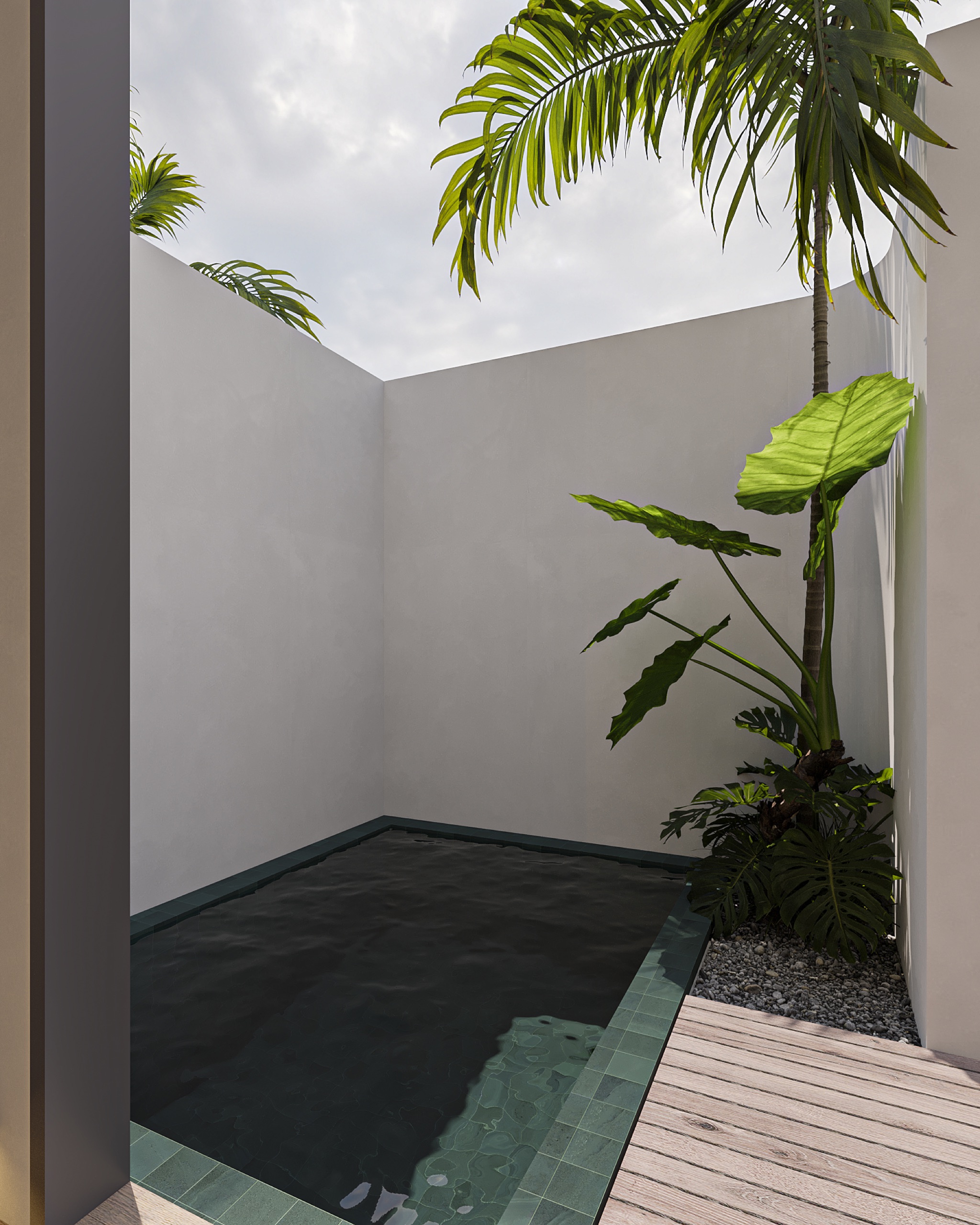 Private Plunge Pool